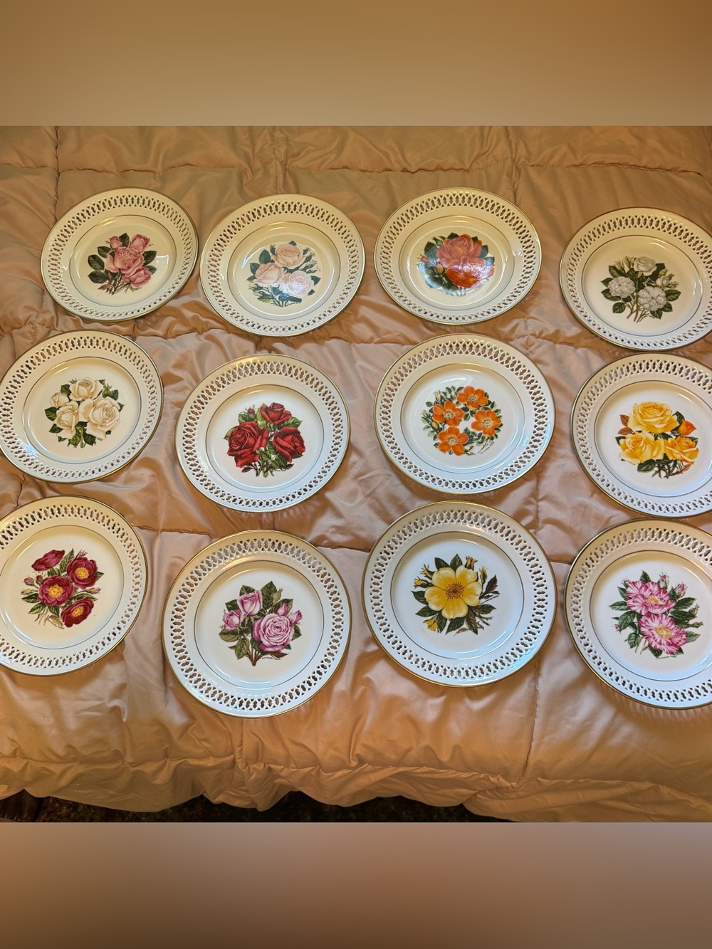 Vintage The 12 Rose Plates by Bing & Grondahl Denmark Danbury Mint